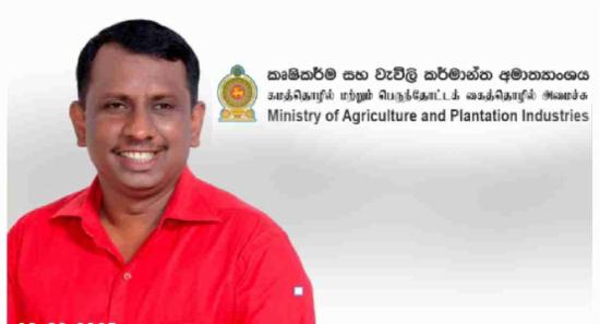 පොහොර ලබාදීම සඳහා නව ක්‍රමවේදය සති දෙකකින්